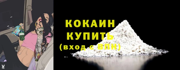 трава Белокуриха