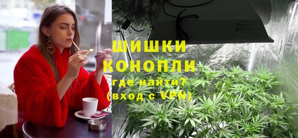 ГАЛЛЮЦИНОГЕННЫЕ ГРИБЫ Баксан