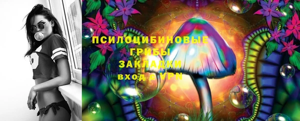ГАЛЛЮЦИНОГЕННЫЕ ГРИБЫ Баксан