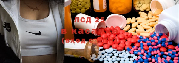 ГАЛЛЮЦИНОГЕННЫЕ ГРИБЫ Баксан