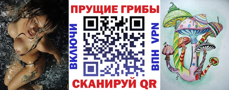 Галлюциногенные грибы Psilocybine cubensis  Горняк 